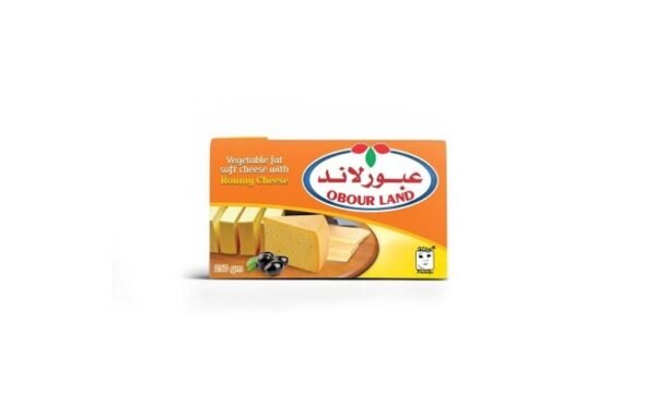 Obour Land Feta Cheese with Romy- 250g