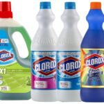Clorox Floral Scent Disinfectant-950ml