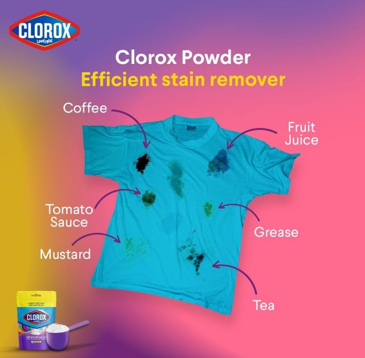 Clorox Stain Remover Powder -250g