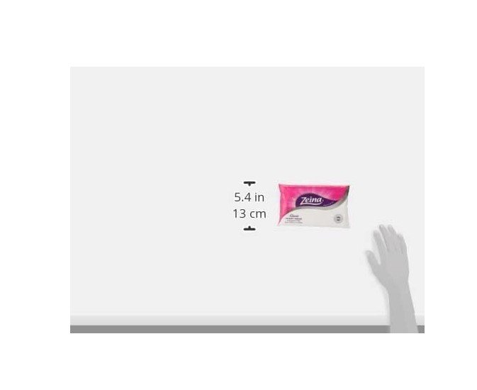 Zeina Set of Bags - 100 Tissues