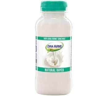 Dina Farms Rayeb Milk – 250ml