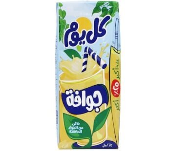 Beyti Kol Youm Guava Juice – 225ml