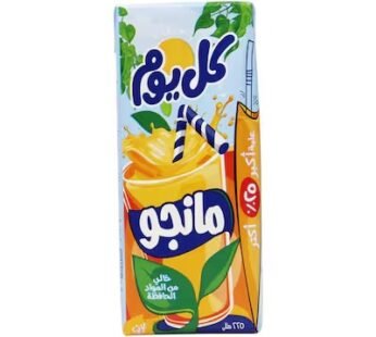 Beyti Kol Youm Mango Juice – 225ml