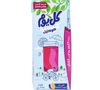 Beyti Kol Youm Cocktail Juice – 225ml