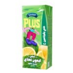 Beyti Plus Lemon Mint Juice - 235ml