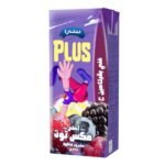 Beyti Plus Mix Berries Juice - 235ml