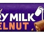 Cadbury Dairy Milk Hazelnut Chocolate - 20g