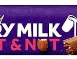 Cadbury Dairy Milk Fruit & Nut Chocolate - 30g