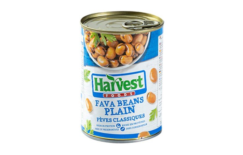 Harvest Plain Fava Beans 400g