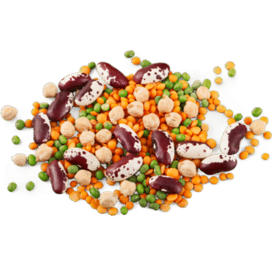 Grains