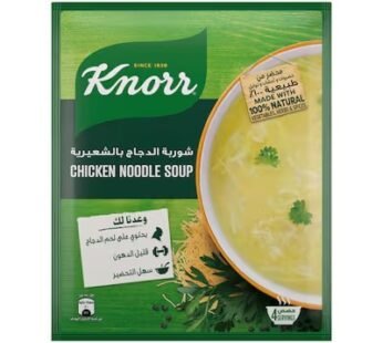 Knorr Chicken Noodle Soup – 56 gram