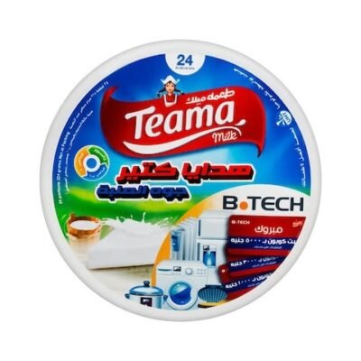 Teama Milk Triangle Cheese - 24 Pieces