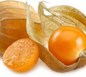 Golden Berries