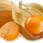 Golden Berries