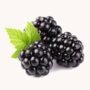 Pico Blackberries - 125 gram