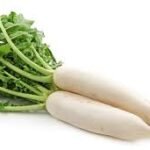 White Radish