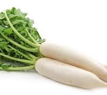 White Radish