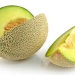 Cantaloupe