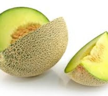 Cantaloupe