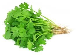 Coriander - 50gm