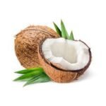 Coconut