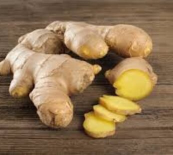 Ginger