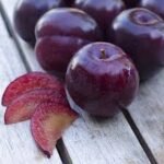 Santa Rosa Plum