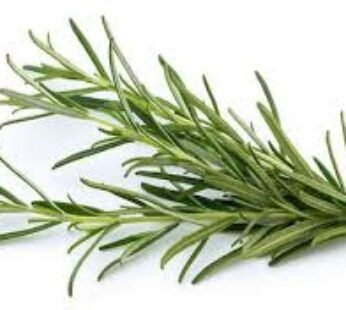 Rosemary Balady – 100 g