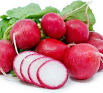 Red Radish
