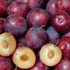 Sweet Cherry Plum