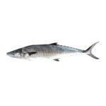 Drake Fish 250g - Approx 4 pieces per KG