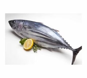 Tuna Fish 2KG – Approx 1 piece per KG