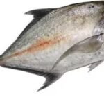 Whiting Fish 500g - Approx 4 pieces per KG