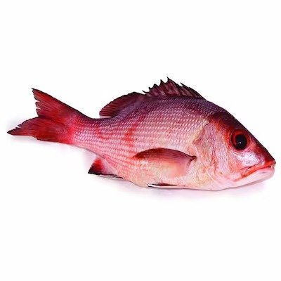 Bohar Fish 2KG - Approx 4 pieces per KG