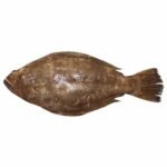 Big Sole Fish 1.5KG - Approx 1000 pieces per KG