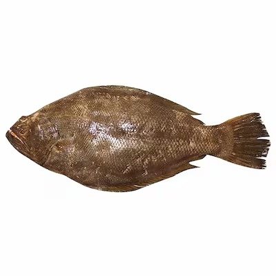 Big Sole Fish 1.5KG - Approx 1000 pieces per KG