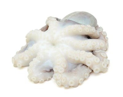 Octopus - Big Size 1KG - Approx 1 piece per KG