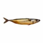 Salted Mackerel 250g - Approx 4 pieces per KG