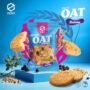 Zero Raisin Stevia Oat Biscuits 30g