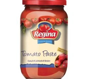 Regina Pasta Tomato Paste 360 gram